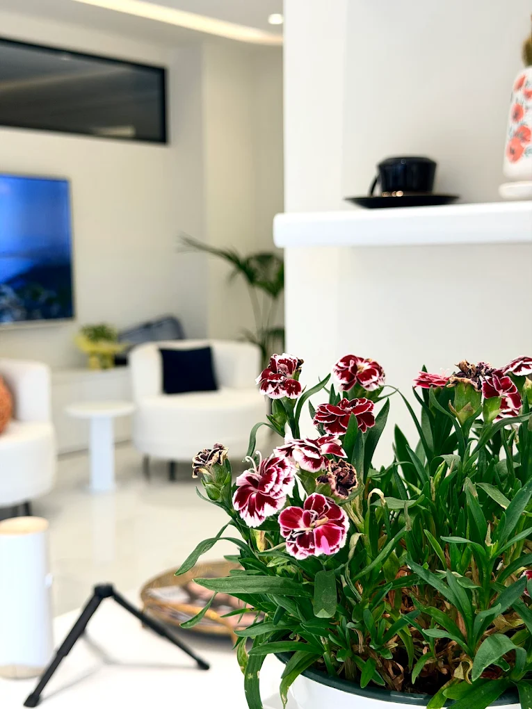 Come Vengono Realizzate le Faccette E-Max